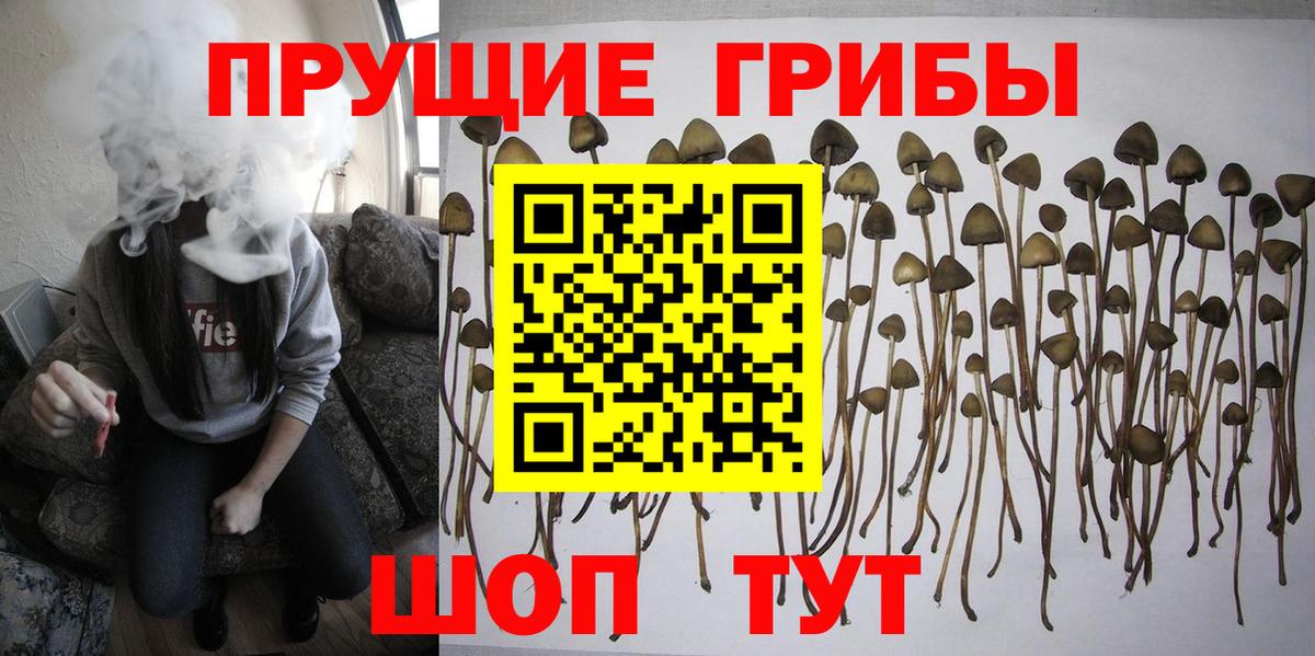 Псилоцибиновые грибы мухоморы Моршанск